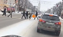 Видео с переходящей на задних лапах проспект Революции собакой заставило хохотать жителей Воронежа