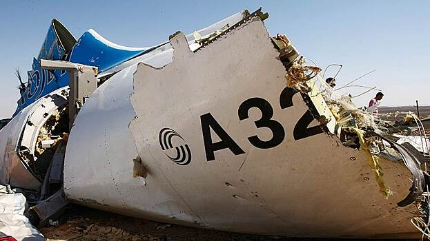 В деле о взрыве A321 появились турецкие волки