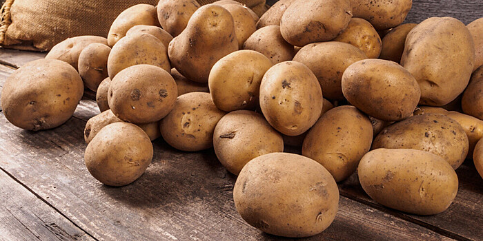 Почему гниет картофель при хранении зимой и как этого избежать