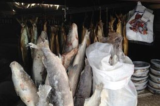 Десять научных проектов из Красноярска получили федеральную поддержку