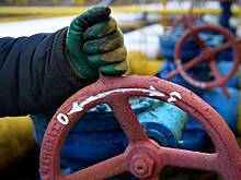 Минфин Германии назвал высокие цены на газ «новой обыденностью»