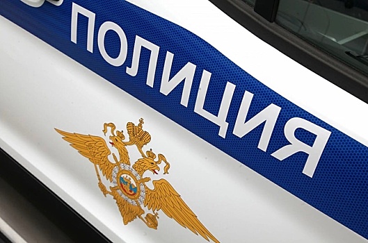 Депутата из Новосибирской области будут судить за покупку ЛСД в Германии