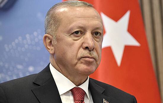 ИГ не возродится: Эрдоган дал обещание