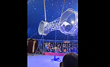 Видео падения циркача с огромного колеса в Приморье потрясло Сеть