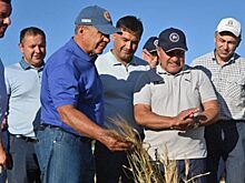 Татарстан собрал пять миллионов тонн зерна