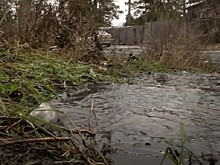 Коммунальный ад: без воды и с рекой нечистот на улице