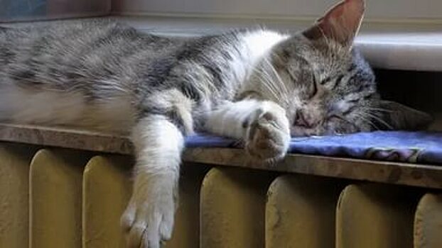 В Рубцовске дан старт началу отопительного периода