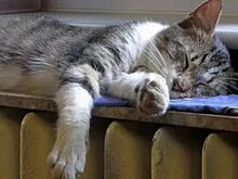 В Рубцовске дан старт началу отопительного периода