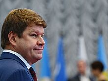 Губерниев: «Давайте не будем разбрасываться званиями»