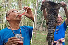 Тайский бизнесмен дважды в день пьет крокодиловую кровь