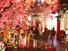 Красное море фонарных гирлянд на улицах Сянгана