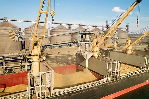 Экспорт зерна из России почти не пострадал от проблем в Красном море