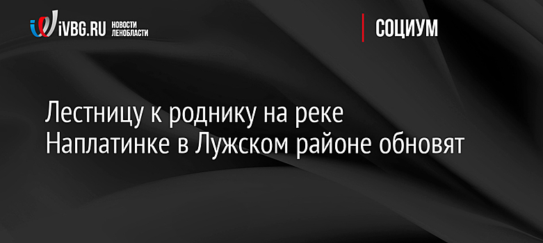 Лестницу к роднику на реке Наплатинке в Лужском районе обновят