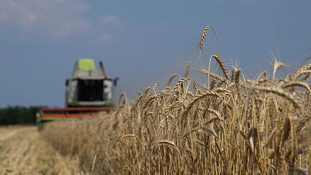Российские фермеры получат миллиард рублей на лизинг сельхозтехники