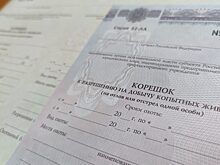 Стартовал прием заявлений на жеребьевку для добычи копытных животных и медведя