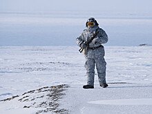 Финнов попросили «не громить» американскую армию на военных учениях