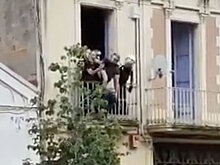 Мигранты и бездомные незаконно заселяют пустые дома в Испании