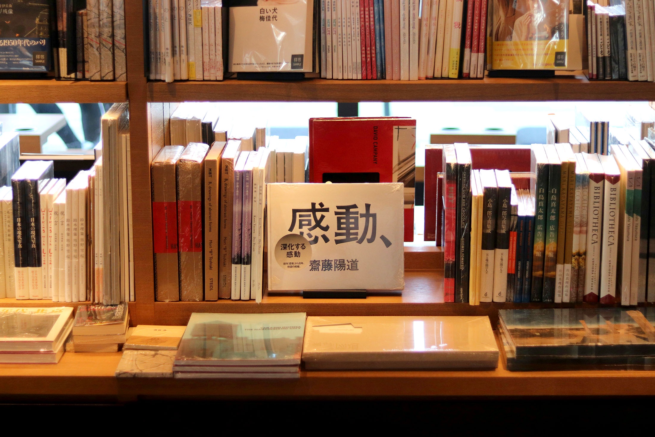 В Москве вырос спрос на литературу о Китае