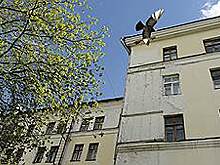 «Спасибо тебе большое, родной город, что отплачиваешь такой монетой»