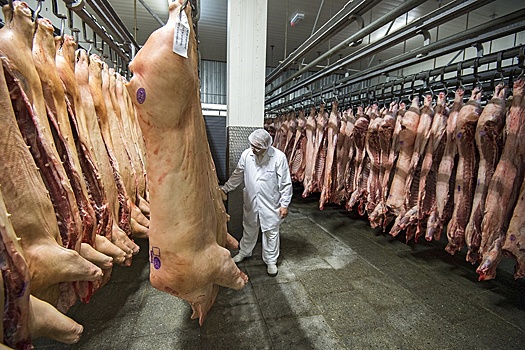 Глава Россельхознадзора нашел вариант поставок российской свинины в Китай