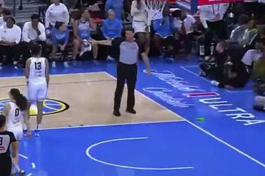 Матч женской НБА вновь прервали из-за секс-игрушки