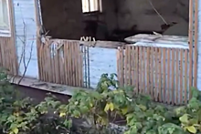 В России автомобиль перелетел через грядки, пробил стену в доме и попал на видео