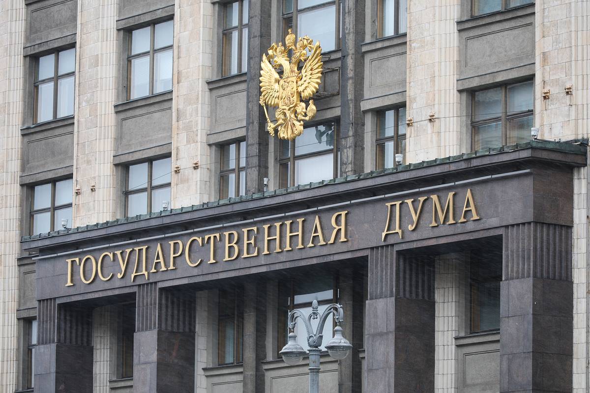 В Госдуме ответили на угрозы Германии в адрес России