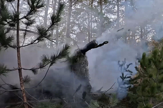 Расчет гаубицы Д-30 группировки войск «Днепр» снайперским попаданием уничтожил миномет и личный состав ВСУ на правом берегу Днепра в Херсонской области