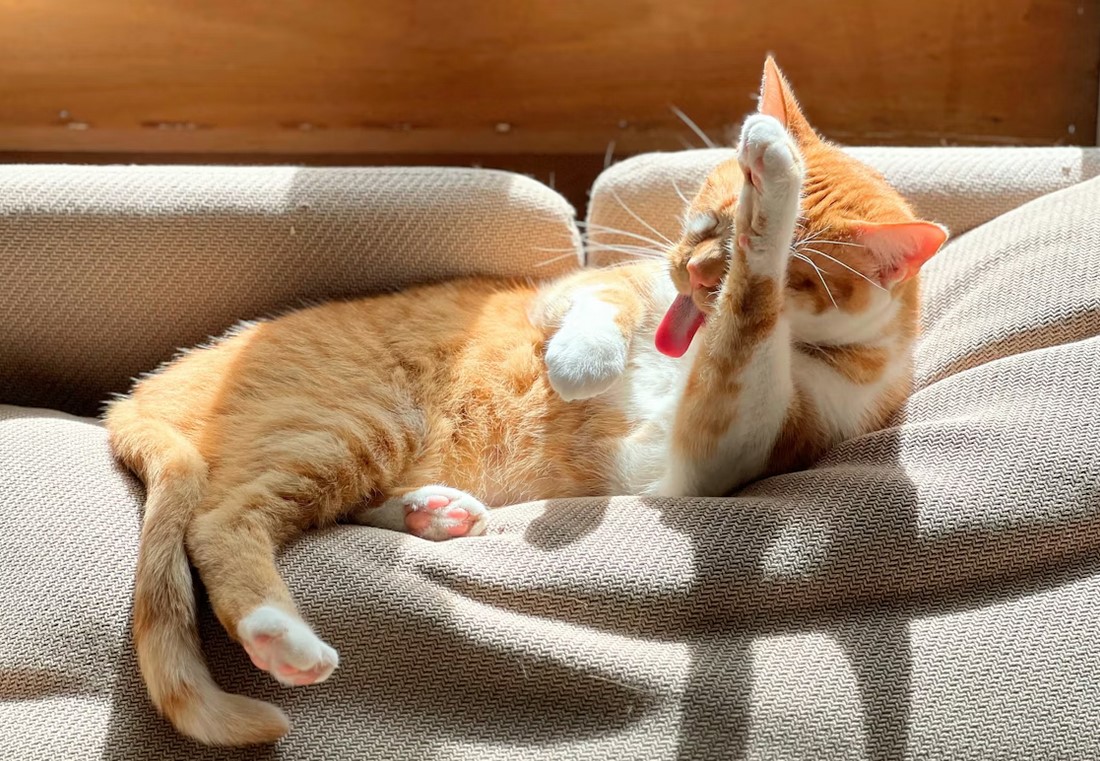 ������&nbsp; ����� ������ ����� ����� ������?