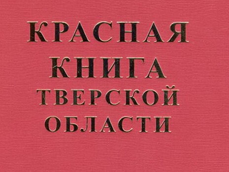 В Тверской области проходит онлайн-голосование за лучший детский рисунок на тему "Красная книга глазами детей. Сохраним исчезающие виды"