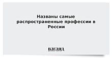 Названы самые распространенные профессии в России