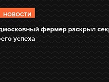 Подмосковный фермер раскрыл секрет своего успеха