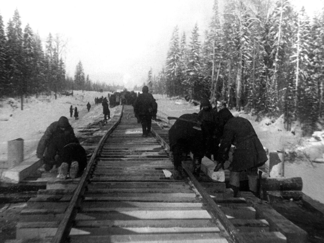 Железная дорога ради жизни на Земле - Рамблер/новости