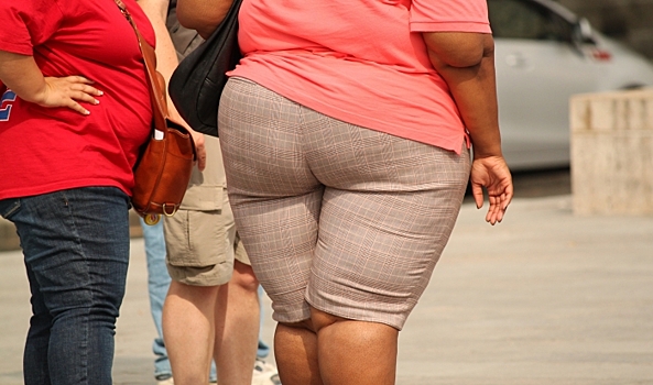 Ученые предупредили о наступлении «эпидемии» ожирения
