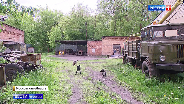 Следственный комитет возбудил уголовное дело о нападении на двухлетнего ребенка в Ногинске