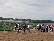 Участники «Дня поля» посетили томские сельхозпредприятия