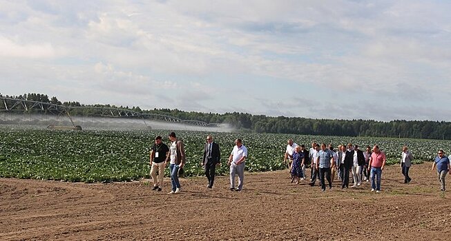 Участники «Дня поля» посетили томские сельхозпредприятия