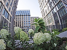 Девелоперы переключились на строй жилья в премиум- и бизнес-сегментах