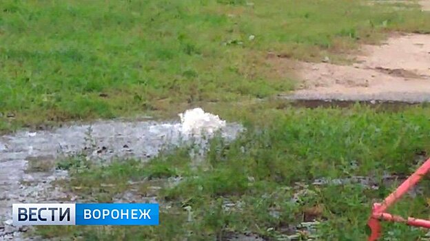 Жительница Воронежа сняла на видео бьющий из-под земли «гейзер» во дворе многоэтажки