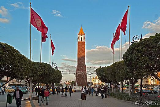 Президент Туниса ввёл комендантский час