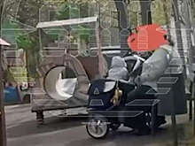 Shot: в Москве мать избила и обматерила младенца в коляске