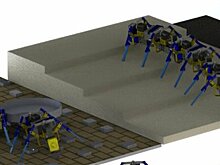 Science Robotics: созданы многоногие роботы с навыками муравьев