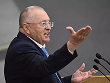 Названы подходящие актеры на роль Жириновского