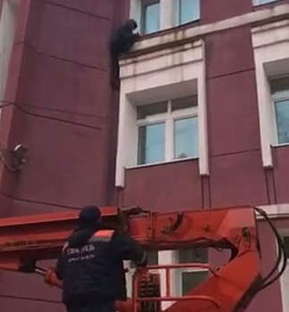 В Ярославле спасатели сняли с жилого дома «человека-паука»