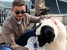 В Новороссийске начались съемки сериала "Бим-3"