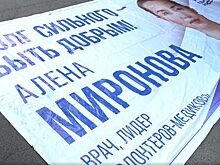 Вернули украденные баннеры Алёны Мироновой