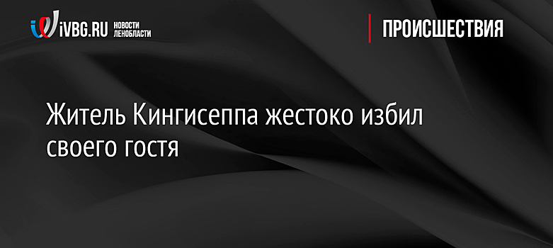 Житель Кингисеппа жестоко избил своего гостя