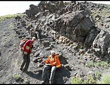 Осадки помогли распределить динозавров на территории Аляски