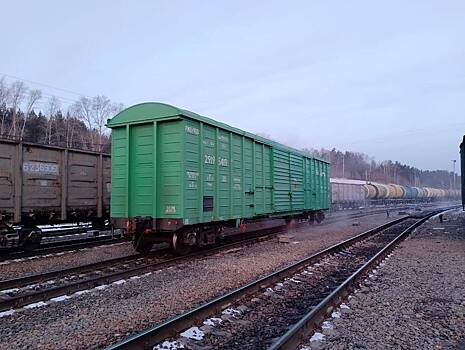В Новосибирской области ликвидировали утечку соляной кислоты на железнодорожной станции