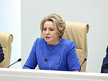 Матвиенко назвала сроки для внесения инициатив по усилению защиты лесов от короедов